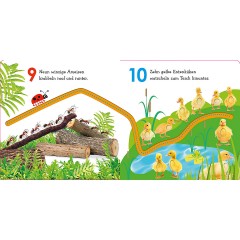 Dorling Kindersley Verlag Mein buntes Fingerspuren-Buch: Lerne zahlen mit Maxi Моя красочная книга отпечатков пальцев: учитесь платить с Maxi