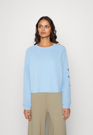 Tommy Hilfiger ROPE PUFF PRINT Sweatshirt vessel blue ПРИНТ ROPE PUFF Толстовка сосуд синий