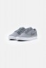 Nike SB CHRON 2 PREMIUM UNISEX Sneaker low cool grey/sangria/sail/white CHRON 2 PREMIUM UNISEX Низкие кроссовки женские холодный серый/сангрия/парус/белый