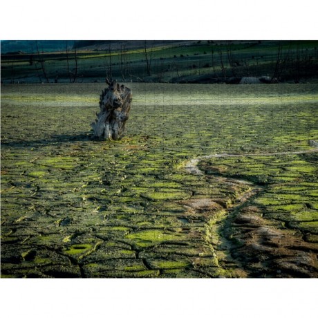 CALVENDO Puzzle CALVENDO Puzzle Das alte Lager Пазл CALVENDO Puzzle Старый лагерь