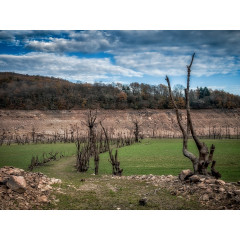 CALVENDO Puzzle CALVENDO Puzzle Das verschlungene Dorf Пазл CALVENDO Puzzle Переплетённая деревня