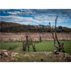 CALVENDO Puzzle CALVENDO Puzzle Das verschlungene Dorf Пазл CALVENDO Puzzle Переплетённая деревня