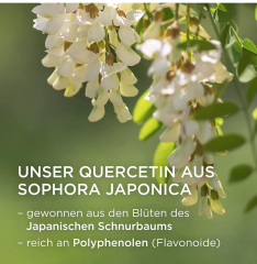 Nature's Way Quercetin Zink Gummibarchen 60st, Жевательные мармеладки  с кверцетином и цинком для укрепления иммунитета со вкусом лимона из цветков японского лимонника, вегетарианские, 60 штук