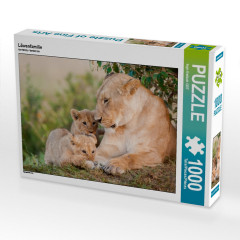 CALVENDO Puzzle CALVENDO Puzzle Lowenfamilie Пазл CALVENDO Пазл Львиная семья