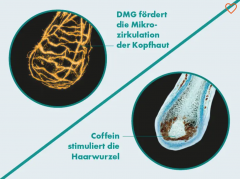 Plantur Haarserum Kopfhaut DMG Clinical, Сыворотка для волос и кожи головы с кофеином, ниацинамидом и цинком, не требует смывания, 125 мл