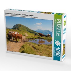 CALVENDO Puzzle CALVENDO Puzzle Wanderweg am Niederhorn in den Schweizer Alpen Пазл CALVENDO Походная тропа-головоломка на Нидерхорне в Швейцарских Альпах