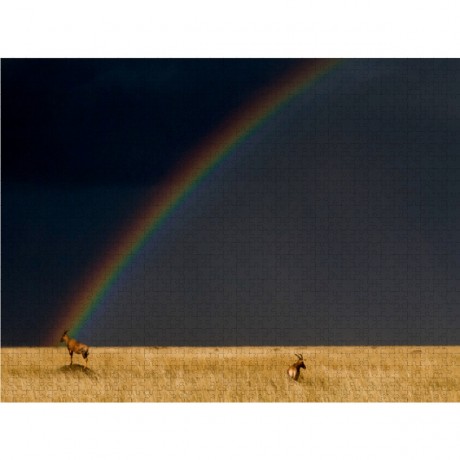 CALVENDO Puzzle CALVENDO Puzzle Regenbogen und Topis in der Masai Mara in Kenia Пазл CALVENDO Puzzle Rainbow and Topis в Масаи Мара в Кении