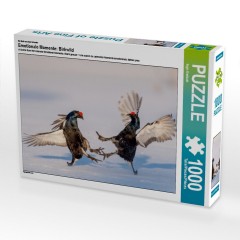 CALVENDO Puzzle CALVENDO Puzzle Emotionale Momente: Birkwild Пазл CALVENDO Puzzle Эмоциональные моменты: тетерев
