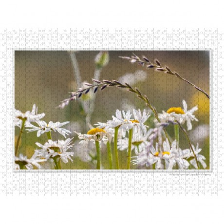 CALVENDO Puzzle CALVENDO Puzzle Emotionale Momente: Die Blumenwiese. \/ CH-Version Пазл CALVENDO Пазл Эмоциональные моменты: Цветочная поляна. \/ версия CH
