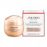 Shiseido Overnight Wrinkle Resisting Cream  Ночной крем против морщин