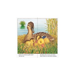 Ravensburger Ich bin die kleine Ente я маленькая утка