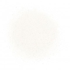 CHANEL REVITALISIERENDES SPRAY-SERUM  ВОССТАНАВЛИВАЮЩАЯ СЫВОРОТКА-СПРЕЙ