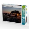 CALVENDO Puzzle CALVENDO Puzzle Akazienbaum in der Kalahari-Wuste in Namibia Пазл CALVENDO Puzzle Дерево акации в пустыне Калахари в Намибии