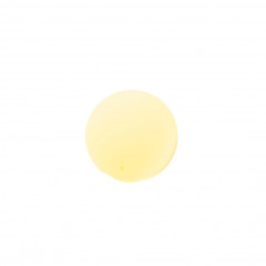 Charlemagne Premium Bartol Imperial Inheritance  Имперское наследство Бартоля