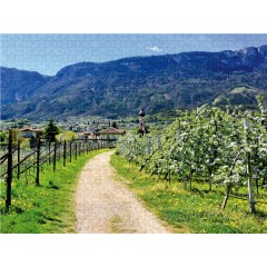 CALVENDO Puzzle CALVENDO Puzzle Apfelblute um St. Pauls Пазл CALVENDO Puzzle Яблоневый цвет вокруг Сент-Полс