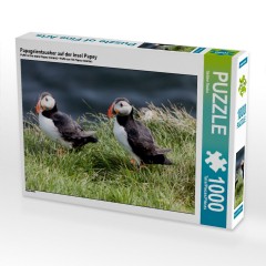 CALVENDO Puzzle CALVENDO Puzzle Papageientaucher auf der Insel Papey Пазл CALVENDO Puzzle Puffins на острове Папей