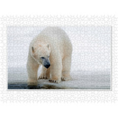 CALVENDO Puzzle CALVENDO Puzzle Emotionale Momente: Der Eisbar. \/ CH-Version Пазл CALVENDO Пазл Эмоциональные моменты: ледяной бар. \/ версия CH