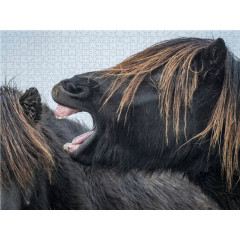 CALVENDO Puzzle CALVENDO Puzzle Was dieser Hengst dem anderen Hengst wohl ins Ohr flustert? Головоломка CALVENDO Puzzle Что этот жеребец шепчет на ухо другому жеребцу?