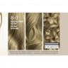 Schwarzkopf Creme Supreme Pflegende Coloration 8-0 Natuerliches Blond, 1 St., Schwarzkopf Creme Supreme стойкая крем-краска для волос 8-0 Натуральный блонд, 1 шт.