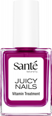 SANTE Juicy Nails 01 Plum Glaze, 10 ml, Санте Лак для ногтей Juicy Nails, оттенок 01 Plum Glaze, сливовый глянец, 10 мл