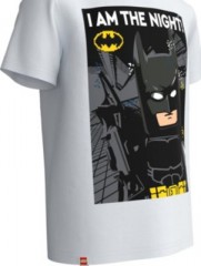 LEGO T-Shirt fur Jungen Футболка для мальчиков