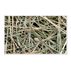 CALVENDO Puzzle CALVENDO Puzzle Emotionale Momente: Einfach Heu. \/ CH-Version Пазл CALVENDO Puzzle Эмоциональные моменты: просто сено. \/ версия CH