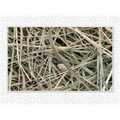 CALVENDO Puzzle CALVENDO Puzzle Emotionale Momente: Einfach Heu. \/ CH-Version Пазл CALVENDO Puzzle Эмоциональные моменты: просто сено. \/ версия CH