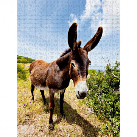CALVENDO Puzzle CALVENDO Puzzle Esel in der Landschaft Пазл CALVENDO Puzzle Осел в пейзаже