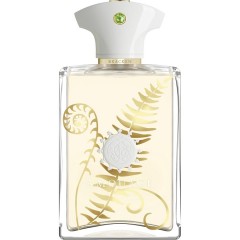 Amouage (Амуаж) Bracken Man Eau de Parfum Парфюмерная вода Spray Спрей, 100 мл