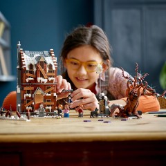 LEGO Harry Potter 76407 Heulende Hutte und Peitschende Weide ЛЕГО Визжащая хижина и гремучая ива