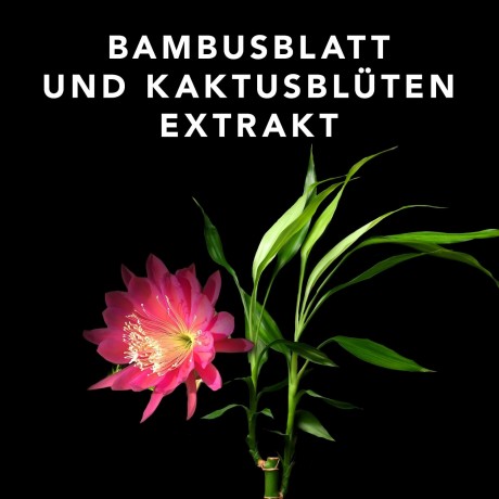 Sebastian Volupt Volumenspray Объемный спрей Volupt