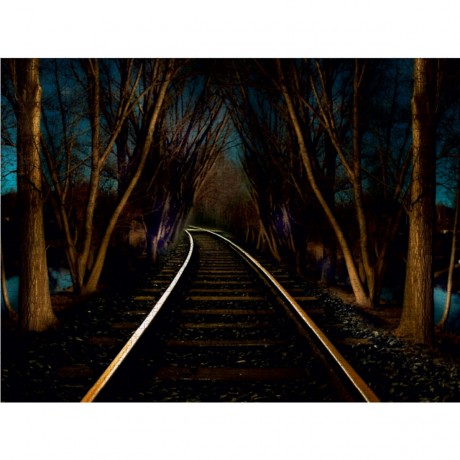 CALVENDO Puzzle CALVENDO Puzzle Sehnsucht der Natur Пазл CALVENDO Puzzle Тоска природы