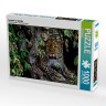 CALVENDO Puzzle CALVENDO Puzzle Leopard im Geholz Пазл CALVENDO Puzzle Леопард в лесу