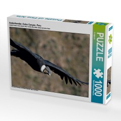CALVENDO Puzzle CALVENDO Puzzle Andenkondor Пазл CALVENDO Puzzle Андский кондор