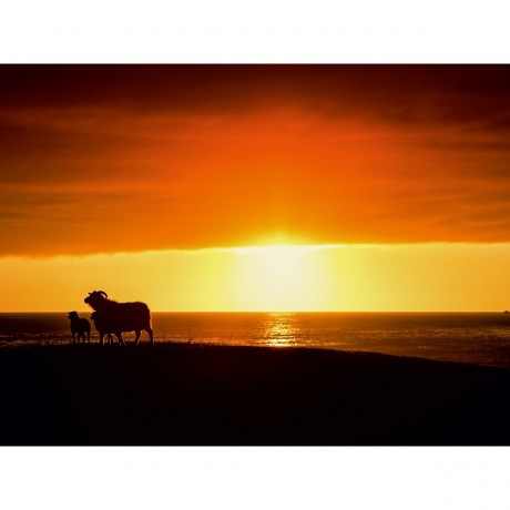 CALVENDO Puzzle CALVENDO Puzzle Beautiful Nature Пазл CALVENDO Puzzle Красивая Природа