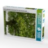 CALVENDO Puzzle CALVENDO Puzzle Mai: Das Maiengrun schmuckt die Eiche Пазл CALVENDO Puzzle May: Майская зелень украшает дуб