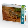 CALVENDO Puzzle CALVENDO Puzzle Junge Schakale im Tsavo West Пазл CALVENDO Puzzle Молодые шакалы в Цаво Вест
