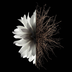 Givenchy The Body Milk  Молочко для тела