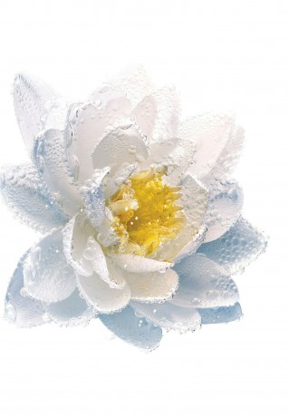 DIOR L#x27;EAU DEMAQUILLANTE MIZELLENWASSER Make-up-Entferner transparent L#x27;EAU DEMAQUILLANTE МИЦЕЛЛЯРНАЯ ВОДА средство для снятия макияжа