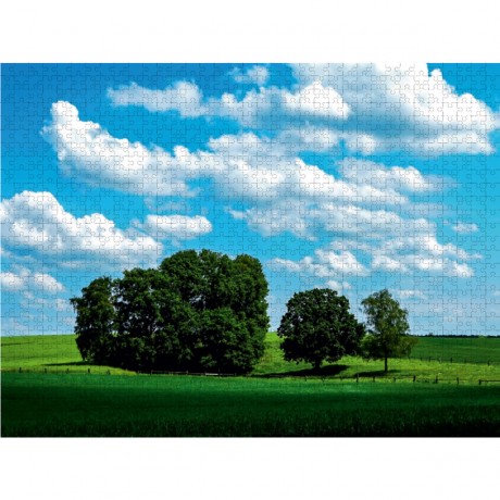 CALVENDO Puzzle CALVENDO Puzzle Fruhling in der Gemeinde Rosengarten Пазл CALVENDO Puzzle Весна в коммуне Розенгартен