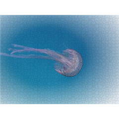 CALVENDO Puzzle CALVENDO Puzzle Faszination Leuchtquallen Пазл CALVENDO Puzzle Очарование светящихся медуз