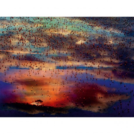 CALVENDO Puzzle CALVENDO Puzzle Emotionale Momente: African Dreams Пазл CALVENDO Puzzle Emotional Moments: African Dreams