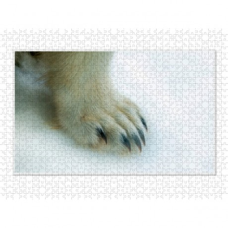 CALVENDO Puzzle CALVENDO Puzzle Emotionale Momente: Der Eisbar. \/ CH-Version Пазл CALVENDO Пазл Эмоциональные моменты: ледяной бар. \/ версия CH