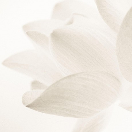 Annayake Japanische Layering-Philosophie  Японская философия многослойности