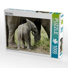 CALVENDO Puzzle CALVENDO Puzzle Kleiner Elefant Пазл CALVENDO Пазл Маленький слоненок