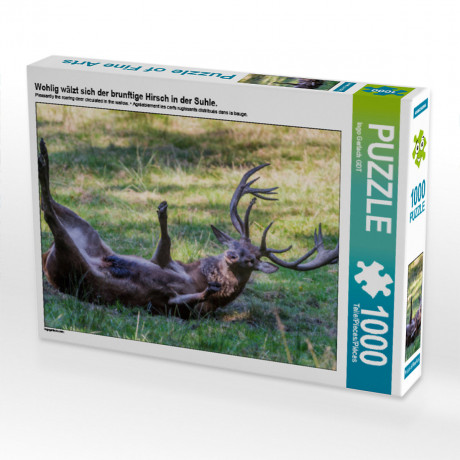 CALVENDO Puzzle CALVENDO Puzzle Wohlig walzt sich der brunftige Hirsch in der Suhle. Пазл CALVENDO Puzzle Олень во время гона счастливо валяется в луже.