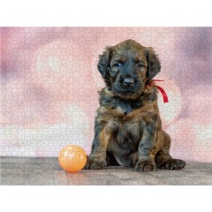CALVENDO Puzzle CALVENDO Puzzle Briard-Welpe mit Ball Пазл CALVENDO Puzzle Щенок бриара с мячом