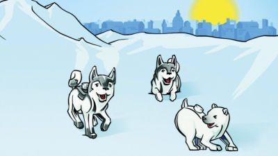 LEGO CD LEGO City -13- Arktis: Abenteuer im Packeis CD LEGO City -13- Арктические приключения на паковом льду