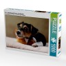 CALVENDO Puzzle CALVENDO Puzzle Liu Пазл CALVENDO Пазл Лю