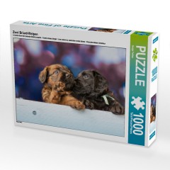CALVENDO Puzzle CALVENDO Puzzle Zwei Briard-Welpen Пазл CALVENDO Puzzle Два щенка бриара